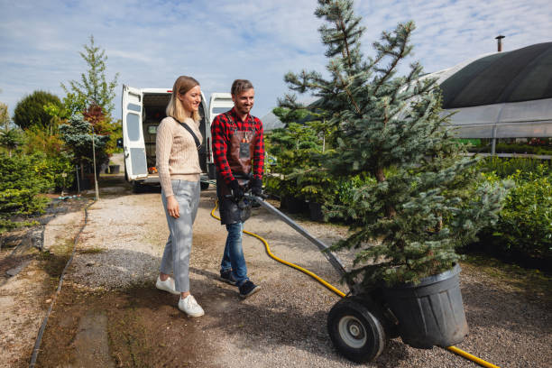 Best Tree Removal  in Walnut Grove, GA